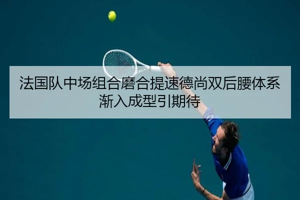 法国队中场组合磨合提速德尚双后腰体系渐入成型引期待